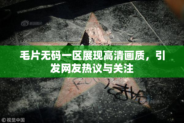 毛片无码一区展现高清画质，引发网友热议与关注
