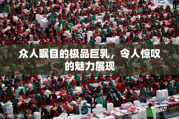 众人瞩目的极品巨乳，令人惊叹的魅力展现