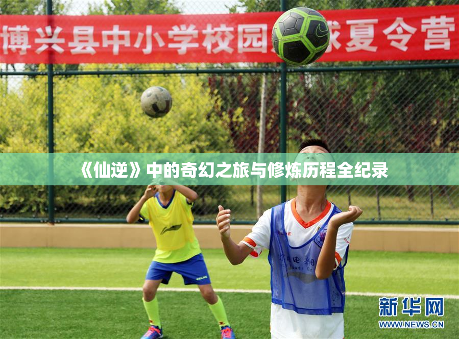 《仙逆》中的奇幻之旅与修炼历程全纪录