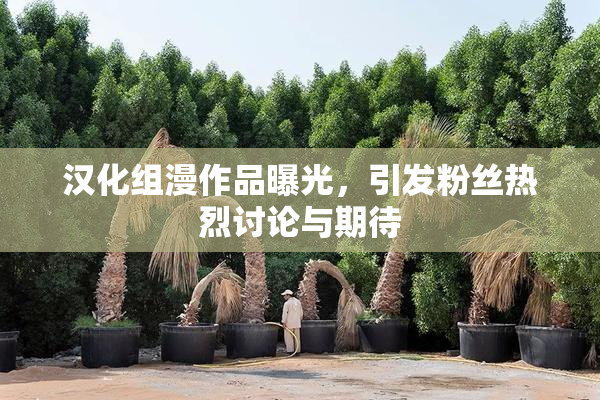 汉化组漫作品曝光，引发粉丝热烈讨论与期待