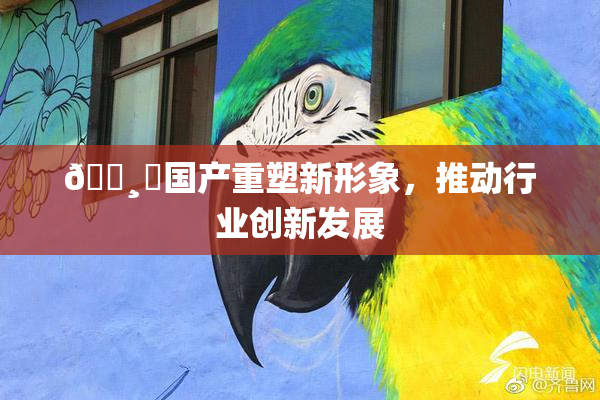 🌸‌国产重塑新形象，推动行业创新发展