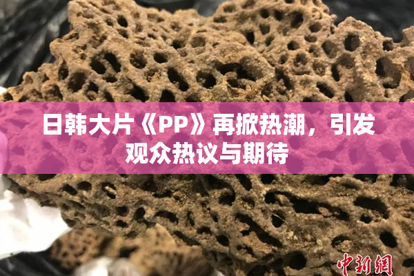 日韩大片《PP》再掀热潮，引发观众热议与期待