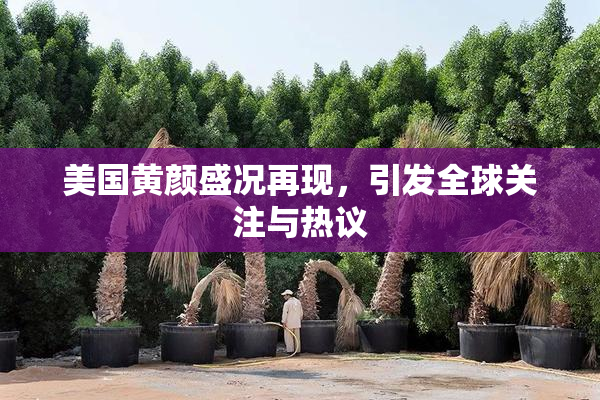 美国黄颜盛况再现，引发全球关注与热议
