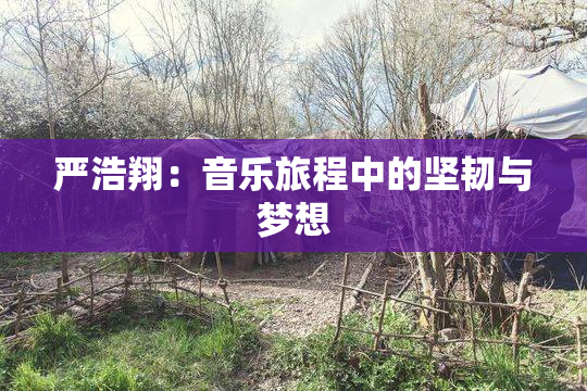 严浩翔：音乐旅程中的坚韧与梦想