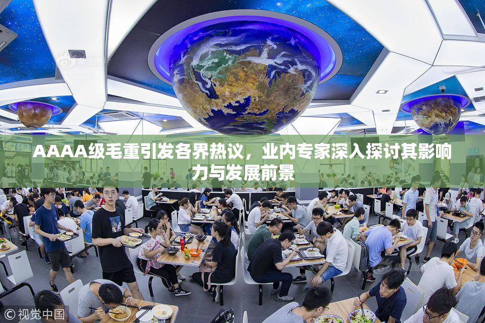 AAAA级毛重引发各界热议，业内专家深入探讨其影响力与发展前景