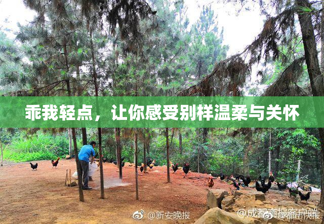 乖我轻点，让你感受别样温柔与关怀