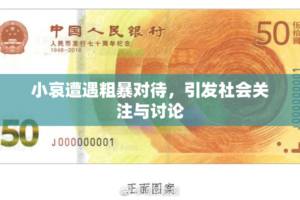 小哀遭遇粗暴对待，引发社会关注与讨论