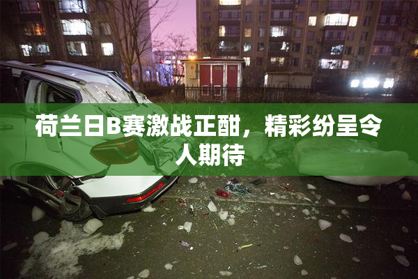 荷兰日B赛激战正酣，精彩纷呈令人期待
