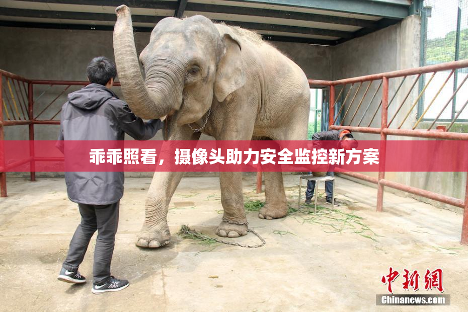乖乖照看，摄像头助力安全监控新方案