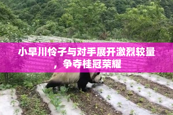 小早川怜子与对手展开激烈较量，争夺桂冠荣耀