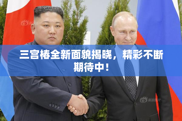 三宫椿全新面貌揭晓，精彩不断期待中！