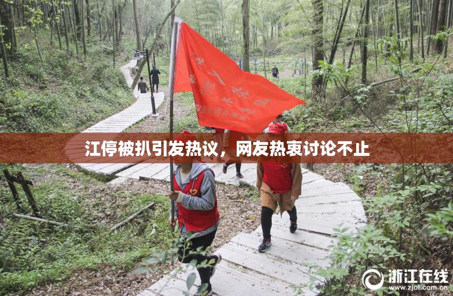 江停被扒引发热议，网友热衷讨论不止