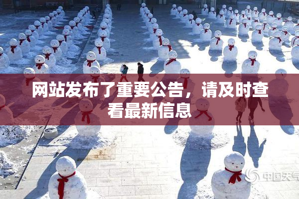 网站发布了重要公告，请及时查看最新信息