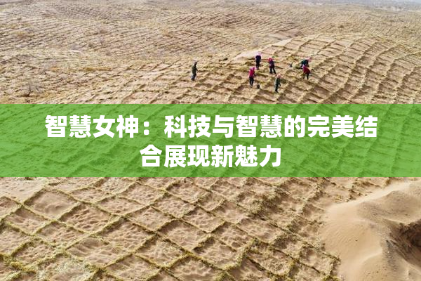 智慧女神：科技与智慧的完美结合展现新魅力