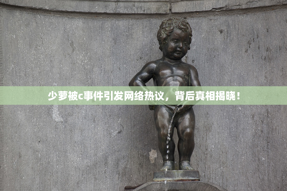 少萝被c事件引发网络热议，背后真相揭晓！