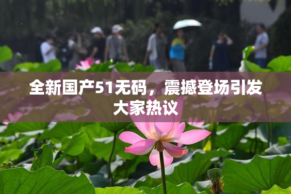 全新国产51无码，震撼登场引发大家热议
