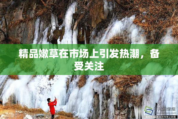 精品嫩草在市场上引发热潮，备受关注