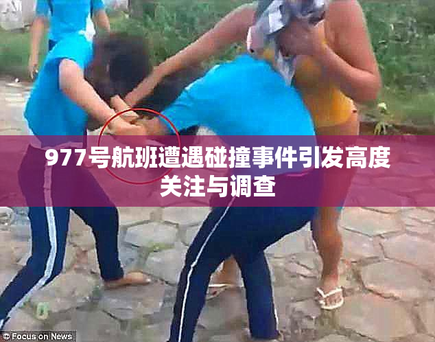 977号航班遭遇碰撞事件引发高度关注与调查