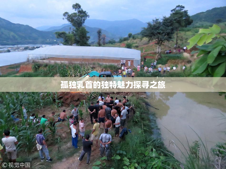 孤独乳首的独特魅力探寻之旅