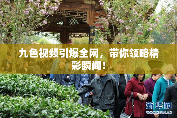 九色视频引爆全网，带你领略精彩瞬间！
