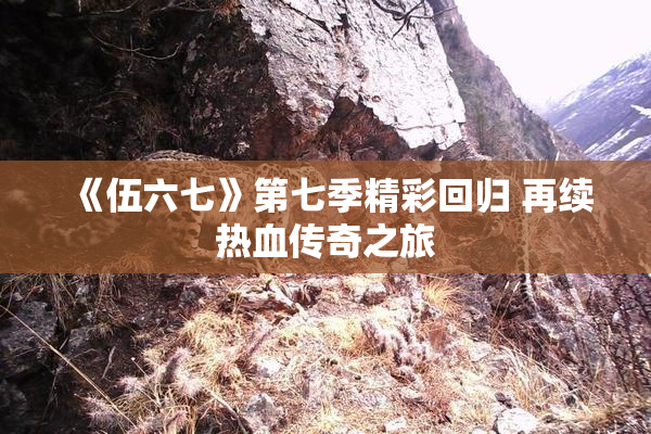 《伍六七》第七季精彩回归 再续热血传奇之旅