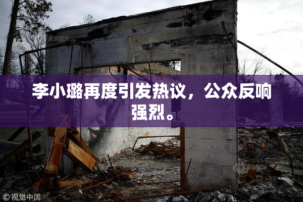 李小璐再度引发热议，公众反响强烈。