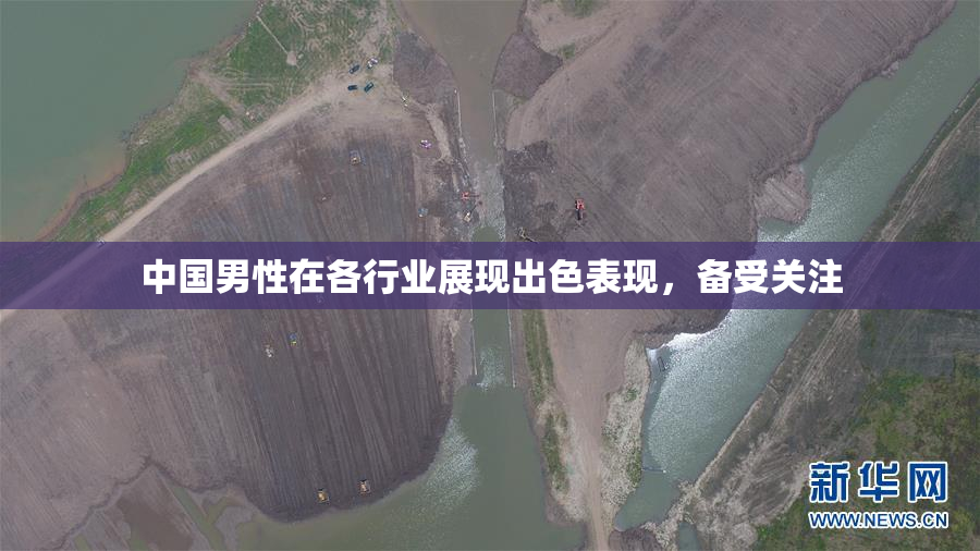 中国男性在各行业展现出色表现，备受关注