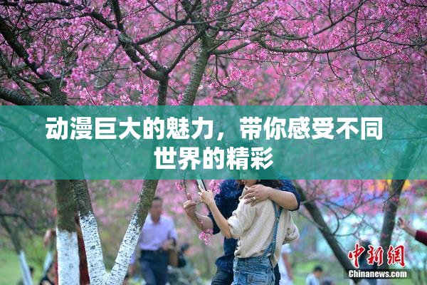 动漫巨大的魅力，带你感受不同世界的精彩
