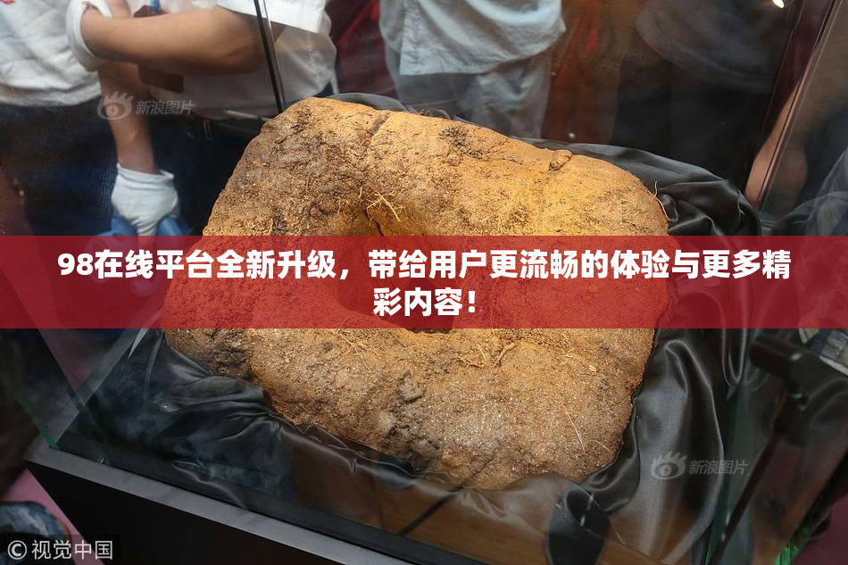 98在线平台全新升级，带给用户更流畅的体验与更多精彩内容！