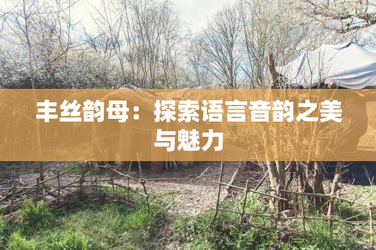 丰丝韵母：探索语言音韵之美与魅力