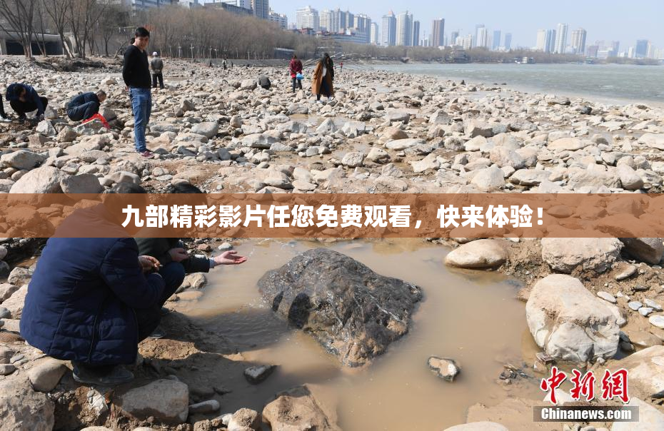 九部精彩影片任您免费观看，快来体验！
