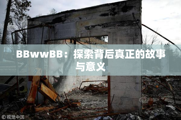 BBwwBB：探索背后真正的故事与意义