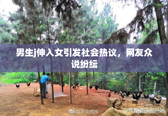 男生j伸入女引发社会热议，网友众说纷纭