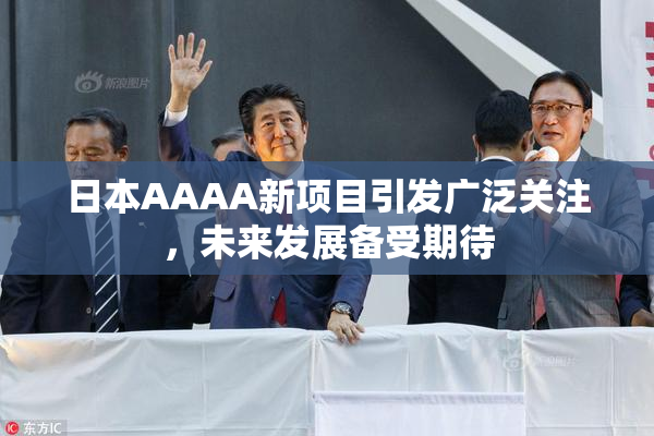 日本AAAA新项目引发广泛关注，未来发展备受期待