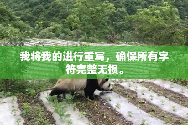 我将我的进行重写，确保所有字符完整无损。