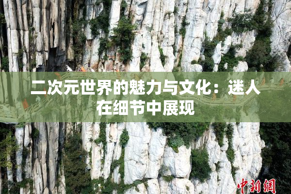 二次元世界的魅力与文化：迷人在细节中展现