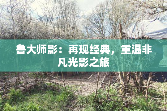 鲁大师影：再现经典，重温非凡光影之旅