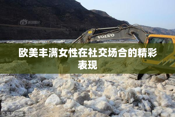 欧美丰满女性在社交场合的精彩表现