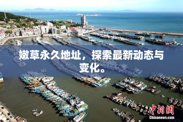 嫩草永久地址，探索最新动态与变化。