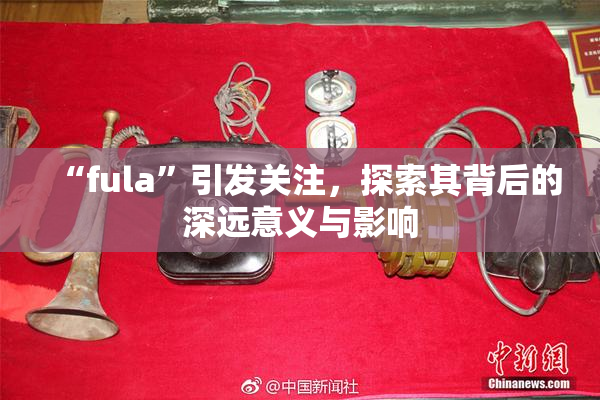 “fula”引发关注，探索其背后的深远意义与影响