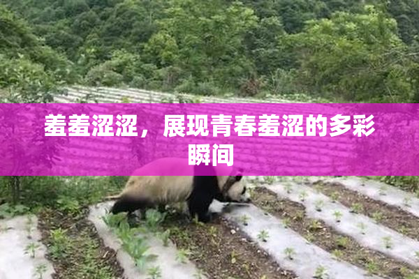 羞羞涩涩，展现青春羞涩的多彩瞬间