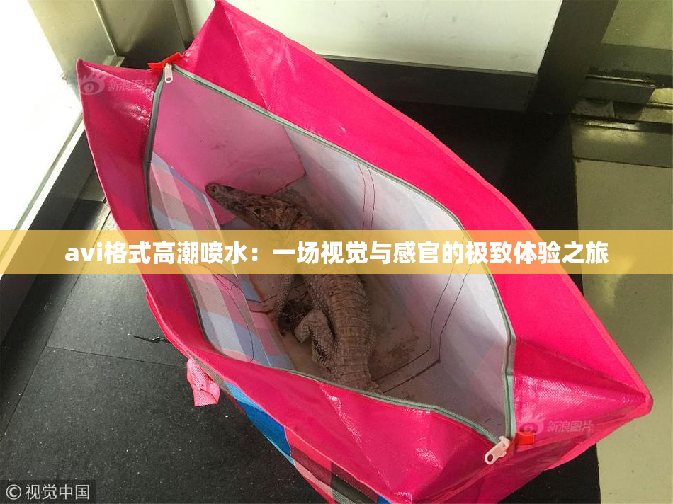 avi格式高潮喷水：一场视觉与感官的极致体验之旅