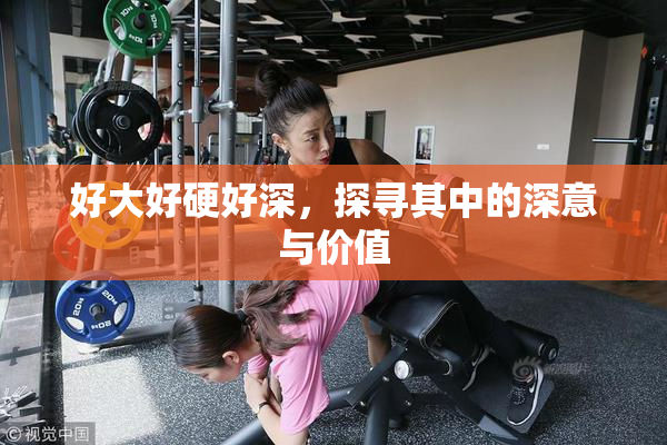 好大好硬好深，探寻其中的深意与价值