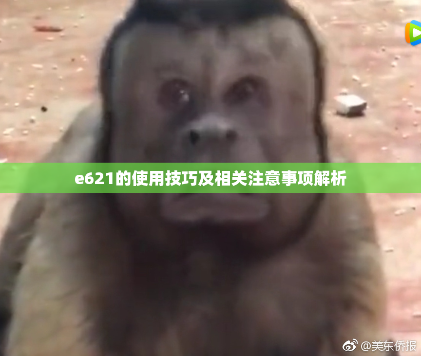 e621的使用技巧及相关注意事项解析