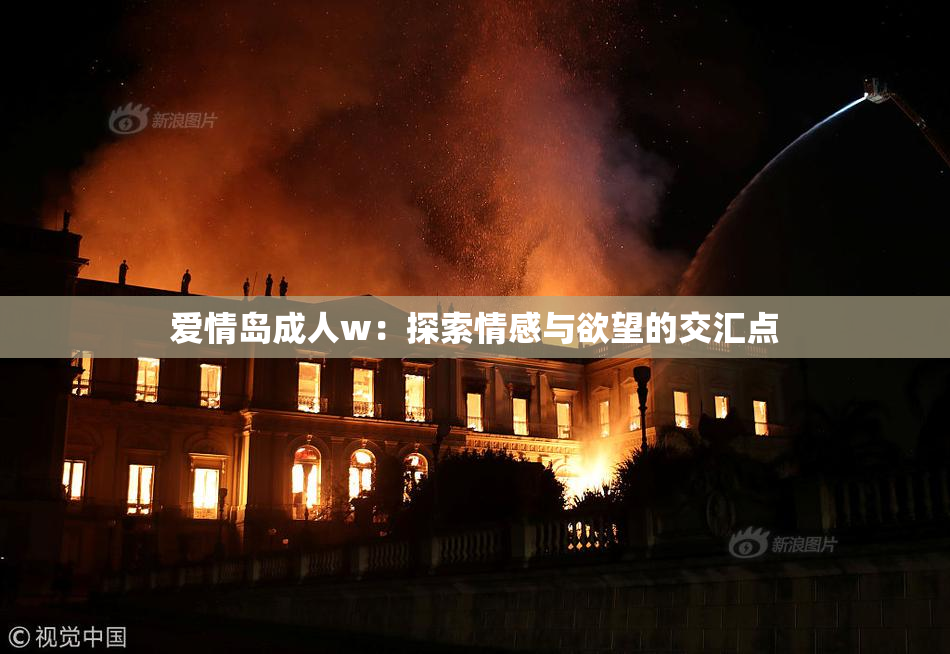 爱情岛成人w：探索情感与欲望的交汇点