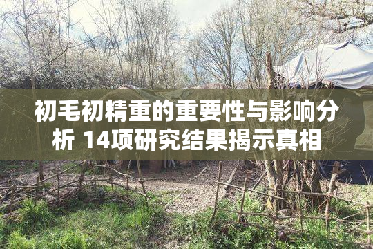 初毛初精重的重要性与影响分析 14项研究结果揭示真相