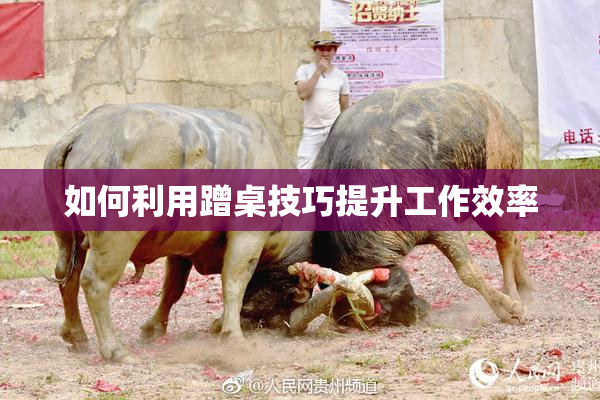 如何利用蹭桌技巧提升工作效率