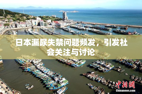 日本漏尿失禁问题频发，引发社会关注与讨论