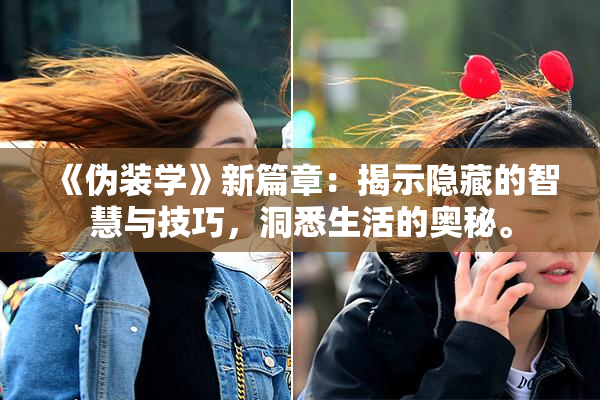 《伪装学》新篇章：揭示隐藏的智慧与技巧，洞悉生活的奥秘。