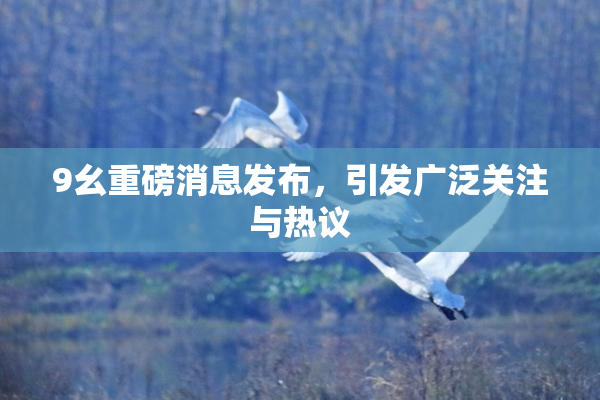 9幺重磅消息发布，引发广泛关注与热议